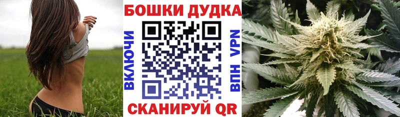 Цена Кудрово COCAIN СК ГАШ Псилоцибиновые грибы Мефедрон