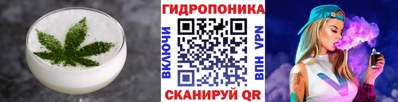 блэк спрут как войти  Кудрово  Canna-Cookies марихуана  как найти закладки 