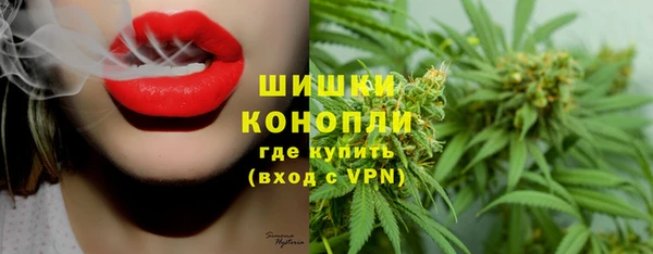 мдпв Покровск
