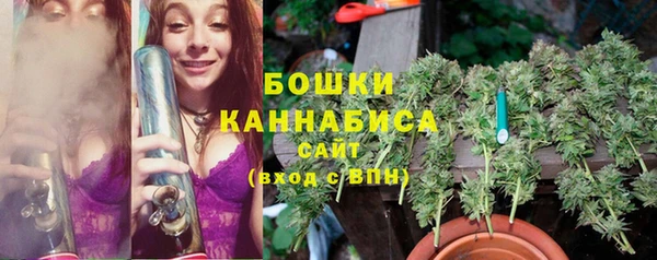 сатива Валуйки
