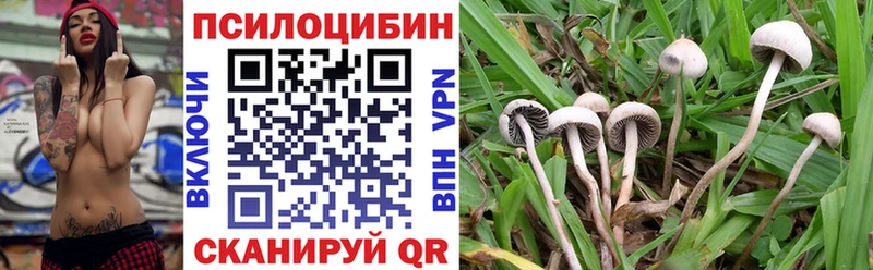 Галлюциногенные грибы ЛСД Кудрово