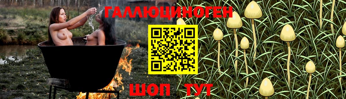 Кудрово  Псилоцибиновые грибы мицелий  цены наркотик  Вход с VPN 